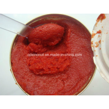 Colheita de tomate 2016